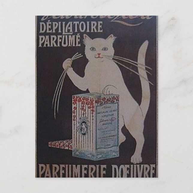 Vintage French Advertisement - cats Postcard (Front)