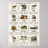 Vintage French Alphabet And Numbers