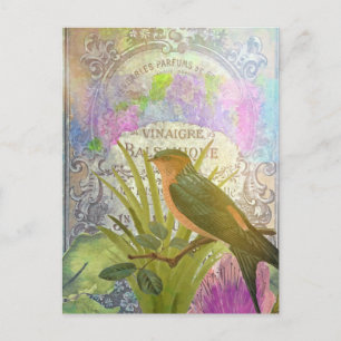 Vintage French Bird Collage Perfume Label Postcard