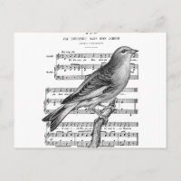 Vintage French Bird Song Music Postcard