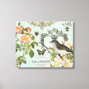 Vintage French Bird with crown stretched canvas Print
