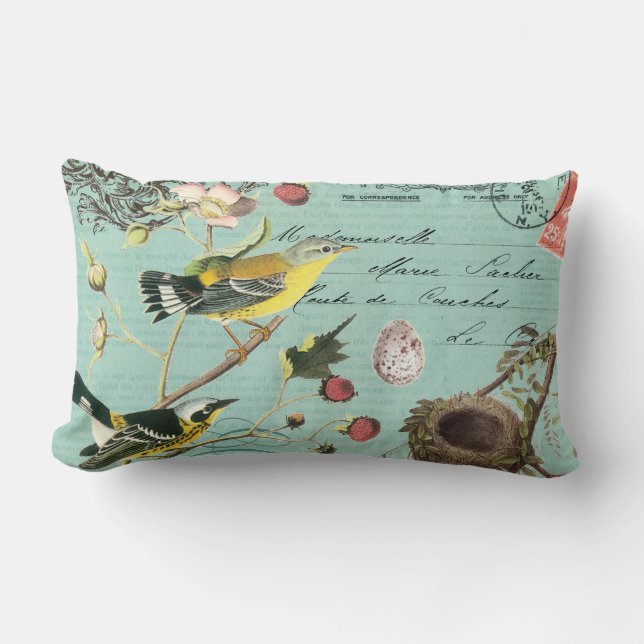 Vintage French Birds pillow (Front)