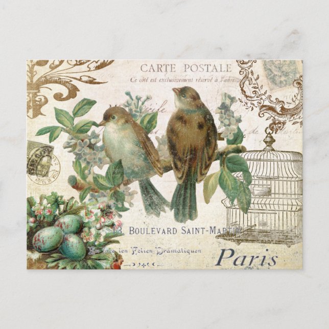 Vintage French Birds postcard (Front)