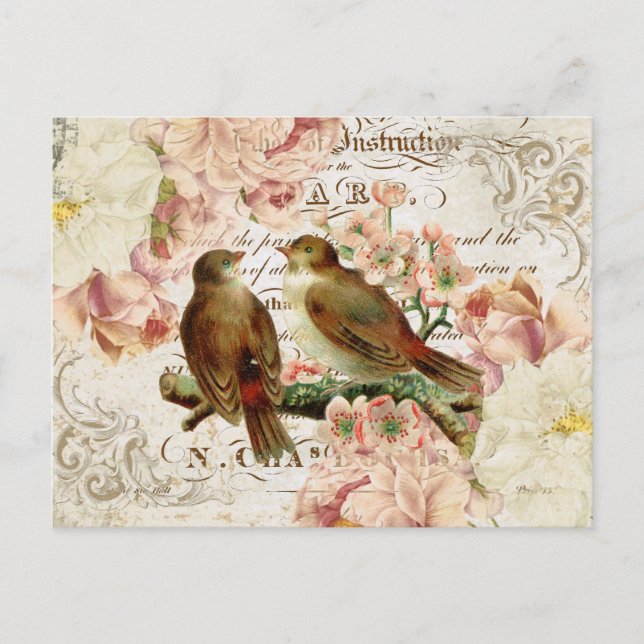 Vintage French Birds postcard (Front)