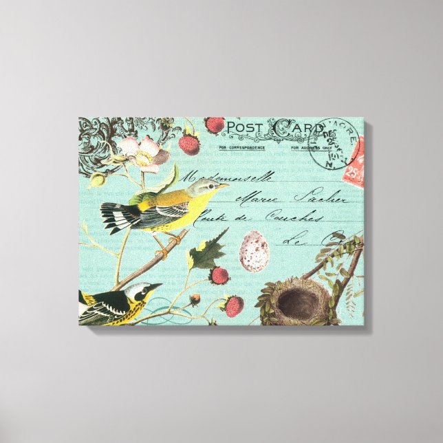 Vintage French Birds stretched canvas Print (Front)