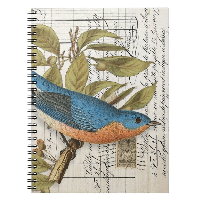 Vintage French Bluebird Spiral Journal Notebook  (Front)