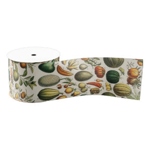 Vintage French Botanical Fruit Poster Art Grosgrain Ribbon