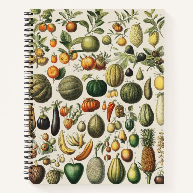 Vintage French Botanical Fruit Poster Art Notebook (Front)