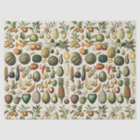 Vintage French Botanical Fruit Poster Art