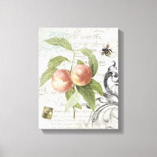 Vintage French Botanical Peach stretched canvas Print