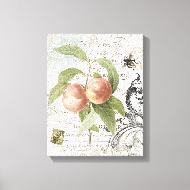 Vintage French Botanical Peach stretched canvas Print (Front)