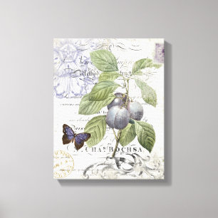 Vintage French Botanical Plum stretched canvas Print