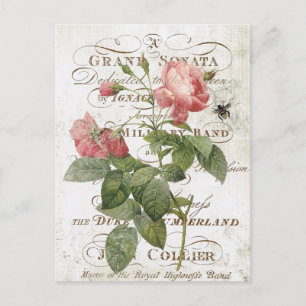 Vintage French Botanical rose postcard