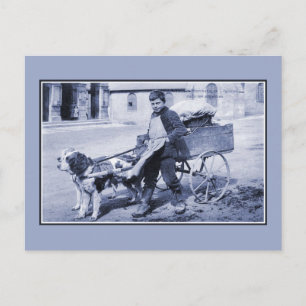 Vintage French boy vegetable seller and dog cart Postcard