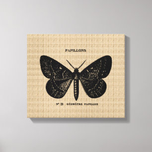 Vintage French Butterfly on Canvas Print