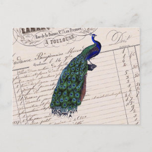 Vintage French Chic Blue Peacock Postcard