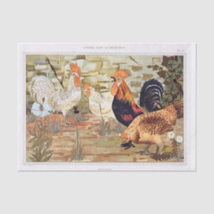 Vintage French Chickens Tissue Paper