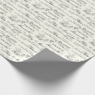Vintage French City Names Paris Wrapping Paper