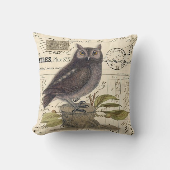 Vintage French Cute Owl on Stump Throw Pillow (Front)