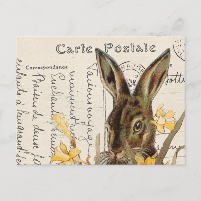 Vintage French Easter Rabbit Daffodil Postcard (Front)