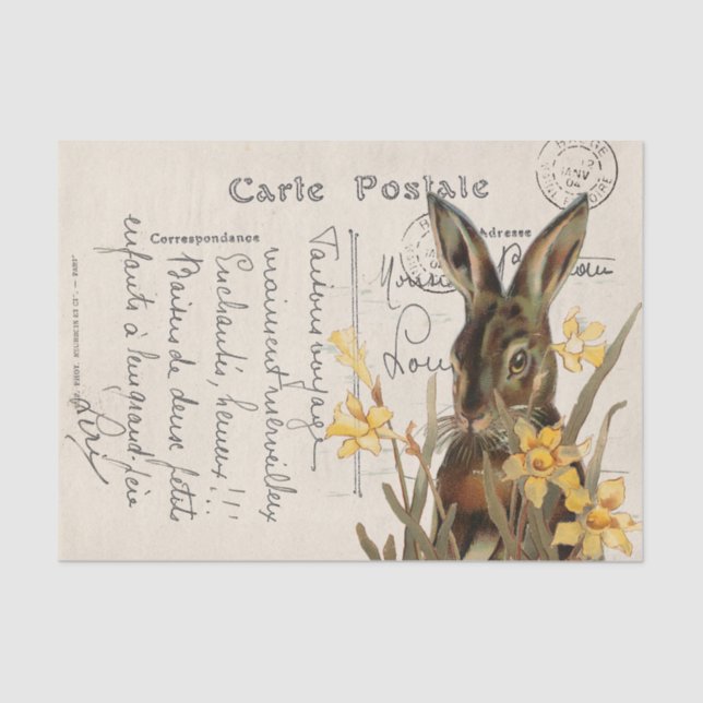 Vintage French Easter Rabbit Daffodil Postcard Tissue Paper (Front)