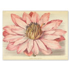 Vintage French Floral Ephemera Decoupage Pink