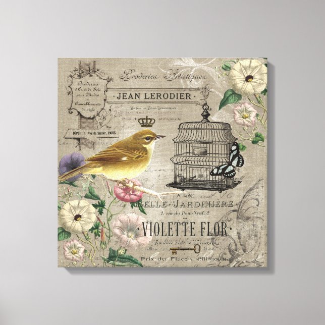 Vintage French garden bird stetched canvas (Front)