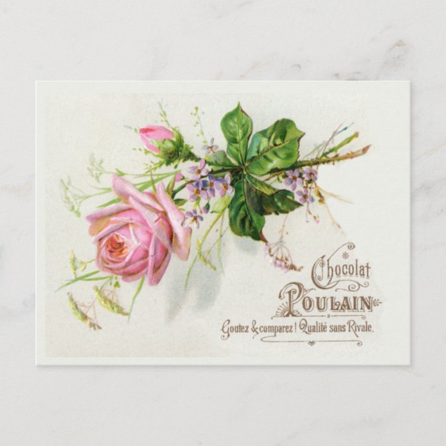 Vintage French Label Postcard (Front)