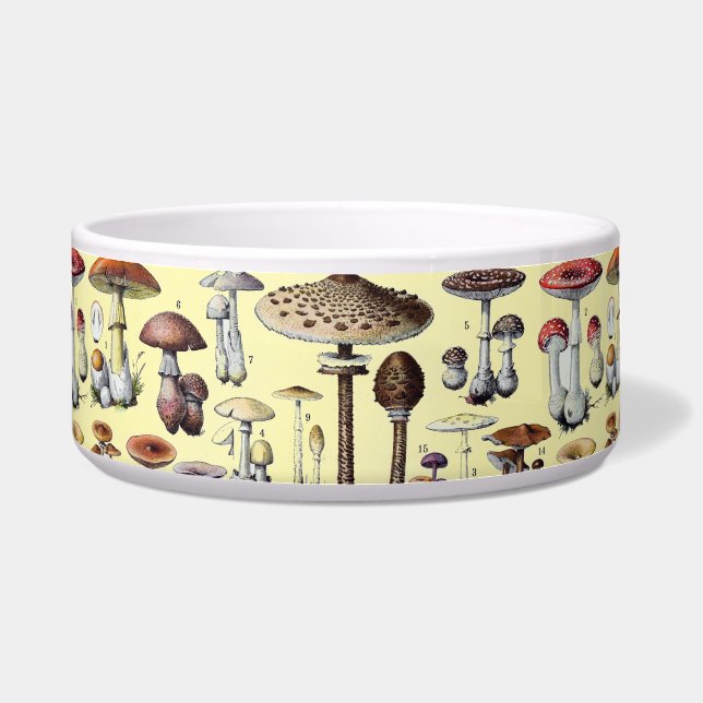 Vintage French Mushroom Cottagecore Botanical Art (Front)