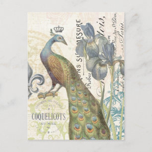 Vintage French peacock floral postcard