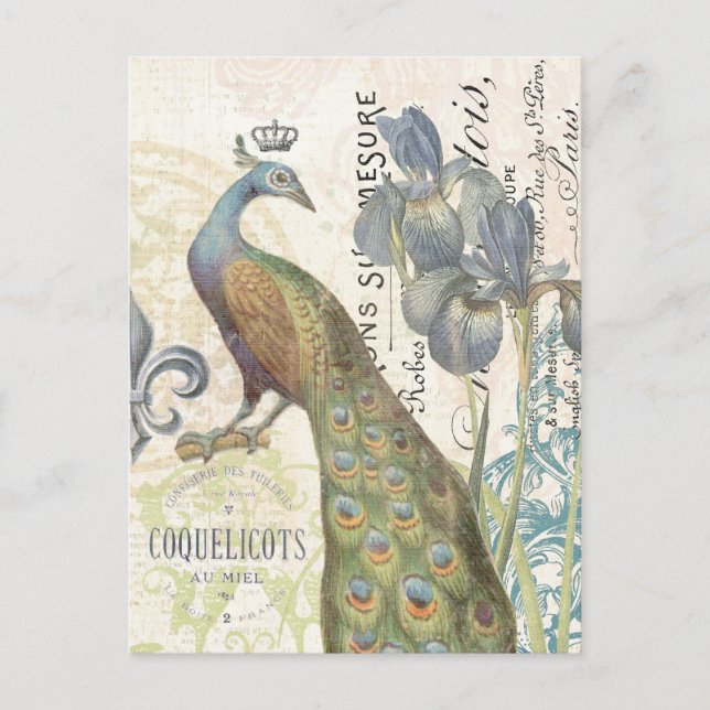 Vintage French peacock floral postcard (Front)