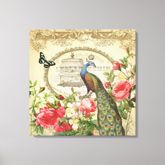 Vintage French Peacock  stretched canvas (Front)