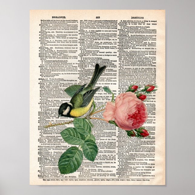 Vintage French rose and bird dictionary Poster (Front)