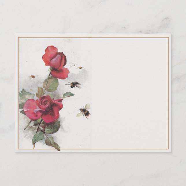 Vintage French Rose Bee Border Blank Postcard (Front)