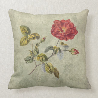 Vintage French Rose Elegant Country Rustic Cushion