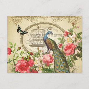 Vintage French Shabby Chic Peacock Postcard