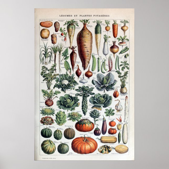 Vintage French Vegetables and Vegetable Plants Poster (Front)
