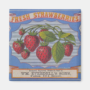Vintage Fresh Strawberries Magnet