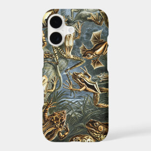 Vintage Frogs and Toads Batrachia by Ernst Haeckel