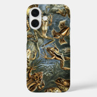 Vintage Frogs and Toads Batrachia by Ernst Haeckel