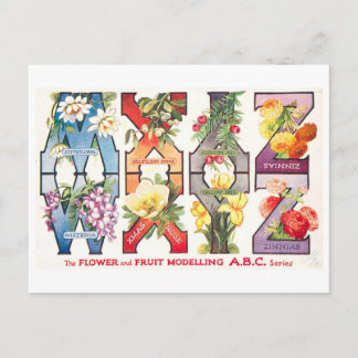 Vintage Fruit and Flower Alphabet W-Z Postcard