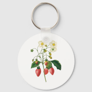 Vintage Fruit Berries Food Strawberries by Redoute Key Ring