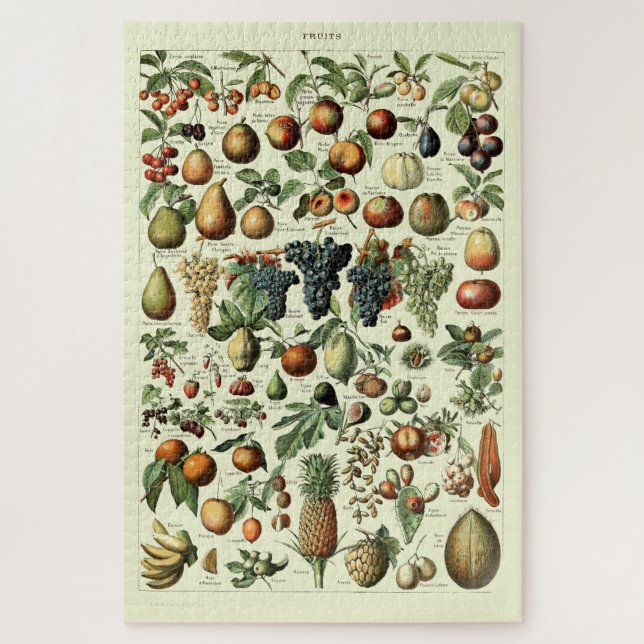 Vintage Fruit by Adolphe Millot Jigsaw Puzzle (Vertical)