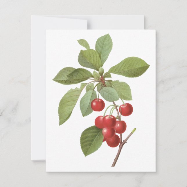 Vintage Fruit, Cherries by Redoute Invitation (Front)