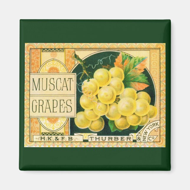 Vintage Fruit Crate Label Art, Muscat Grapes Magnet (Front)
