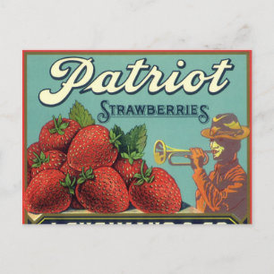 Vintage Fruit Crate Label Art Patriot Strawberries Postcard