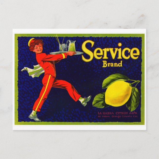 Vintage Fruit Crate Label Postcard (Front)