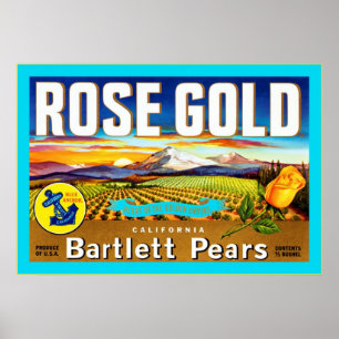 Vintage Fruit Crate Label Poster