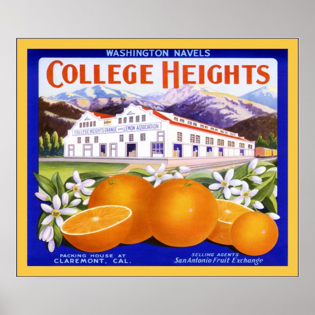 Vintage Fruit Crate Label Poster (Front)