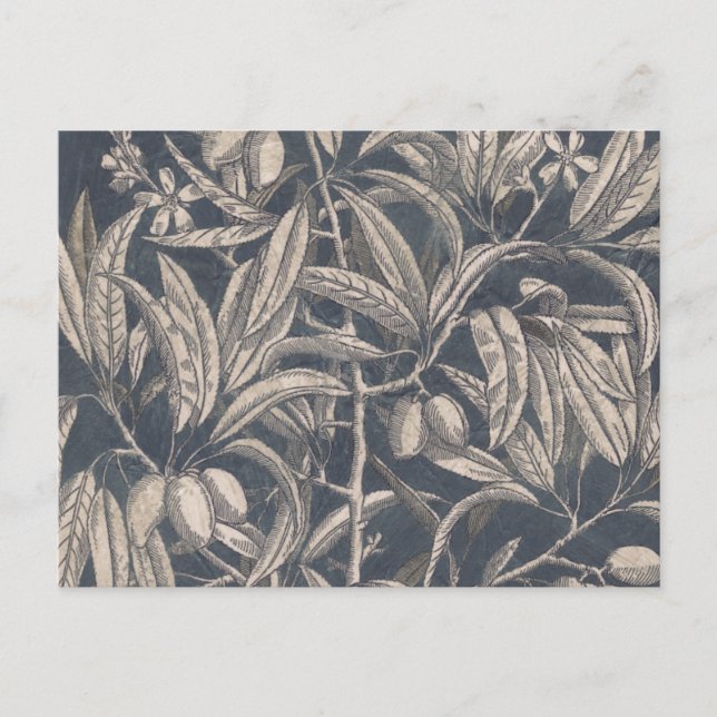 Vintage Fruit & Floral I Postcard (Front)